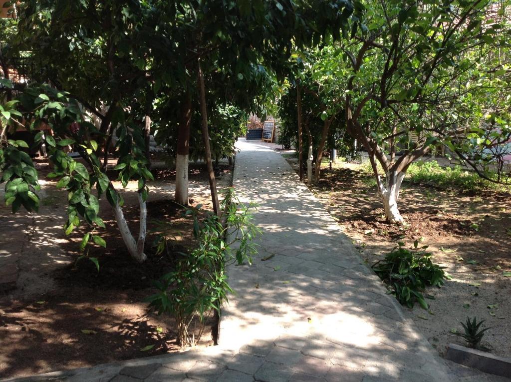 Ilkiz Beach Hotel Oludeniz Eksteriør bilde